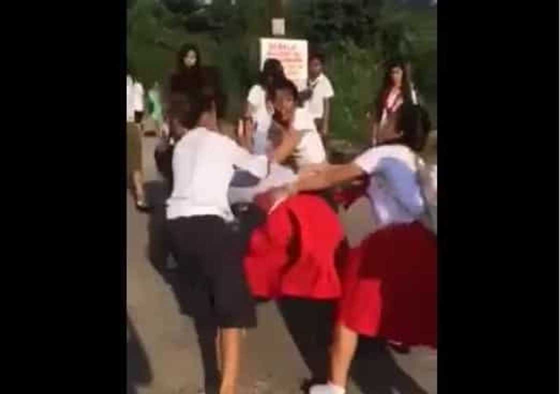 A group of students in Olongapo violently beats helpless girl A group of students in Olongapo violently beats helpless girl