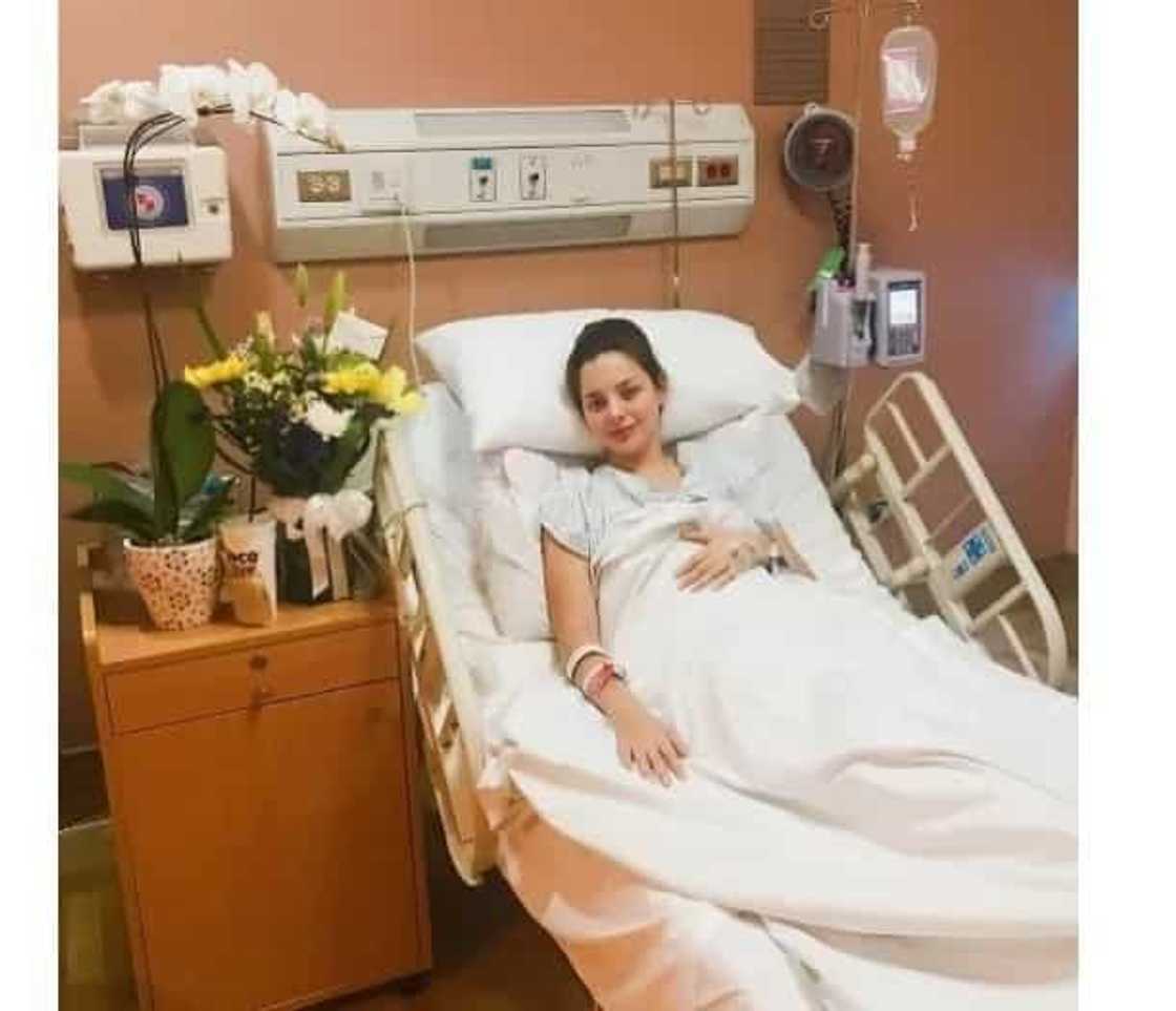 margo-liver margo-liver