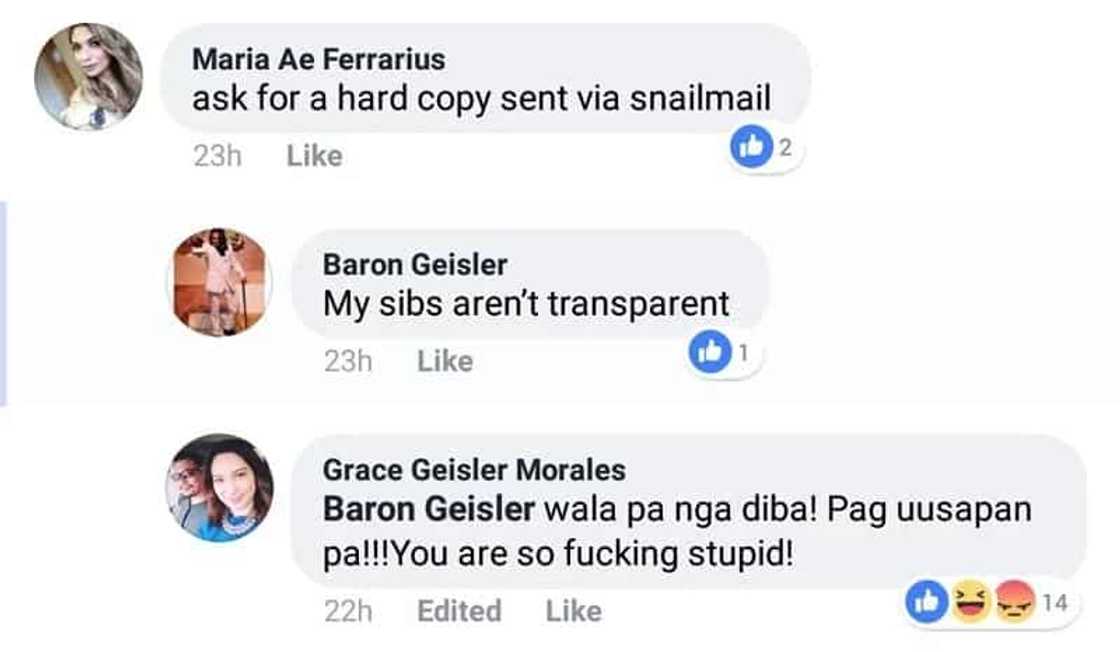 Baron Geisler's sister calls him 'stupid' after actor writes U.S. insurance company handing deceased mother's U.S. estate