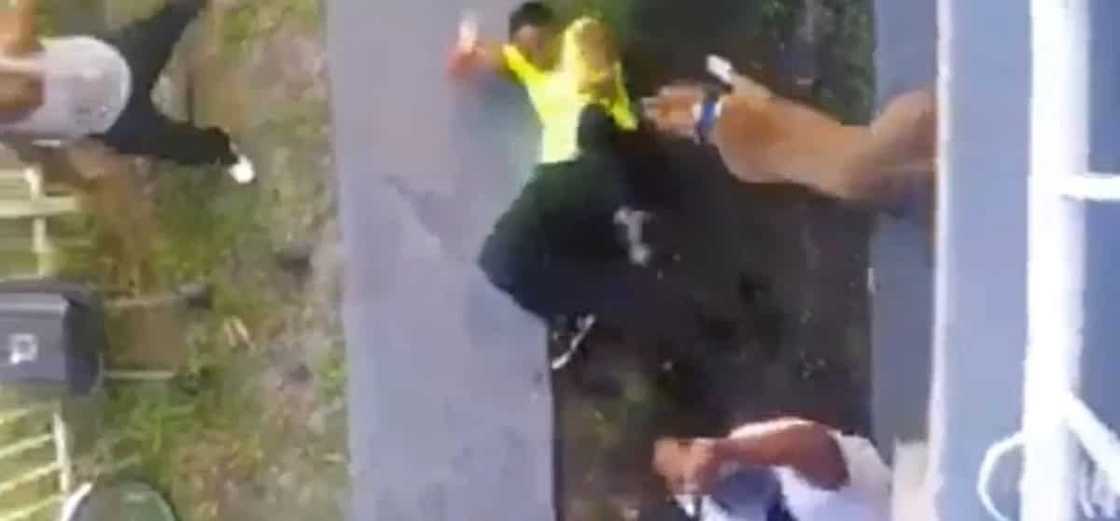 Woman that wanted a fight got beat with a bat and attacked by a pitbull Woman that wanted a fight got beat with a bat and attacked by a pitbull