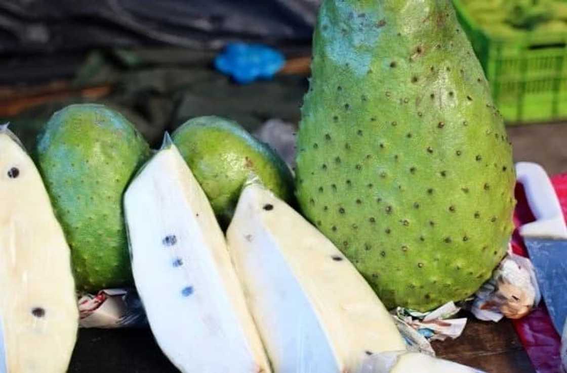 The leaves of soursop are 1.000 times stronger at killing cancer cells than chemotherapy! The leaves of soursop are 1.000 times stronger at killing cancer cells than chemotherapy!