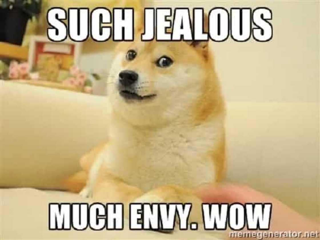 jealousmeme jealousmeme