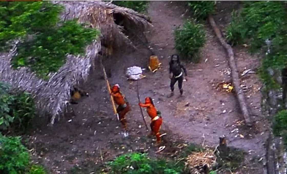 Untouched Amazon Tribe Sees Airplane For The First Time Untouched Amazon Tribe Sees Airplane For The First Time