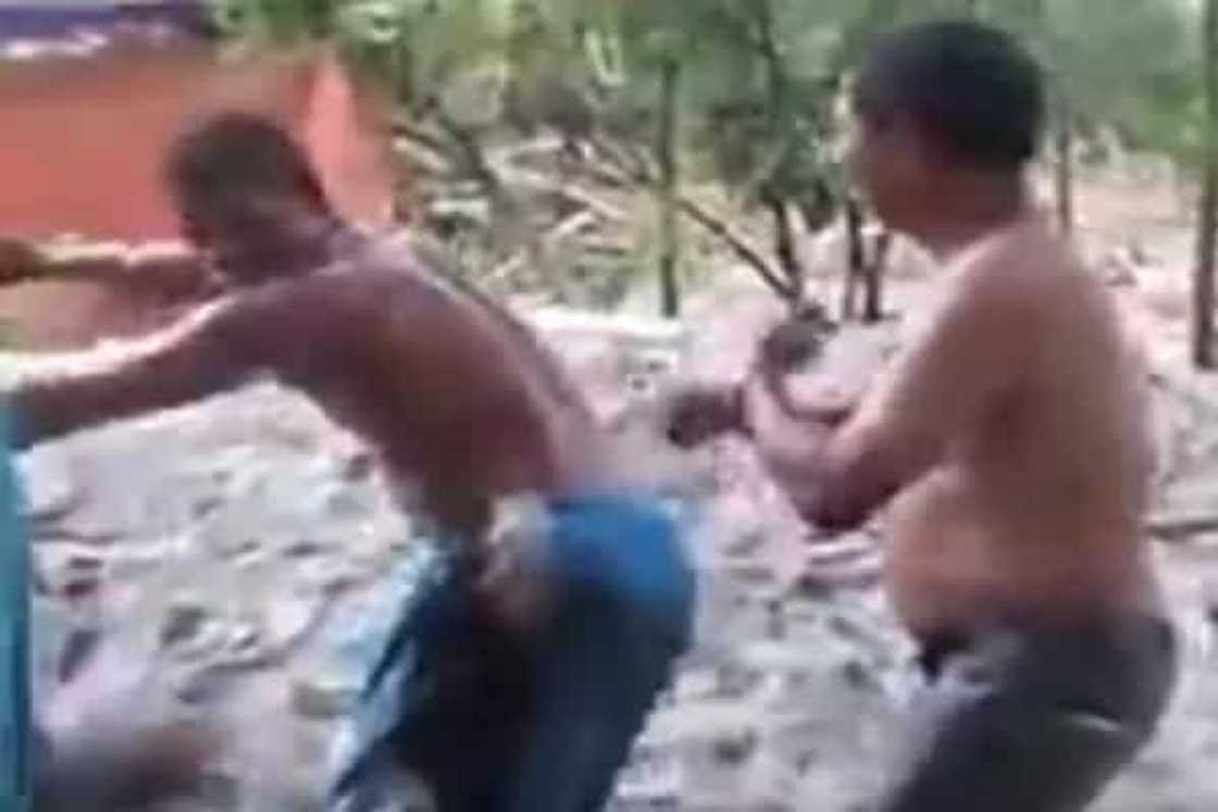 They are awesome! :-D They are awesome! :-D