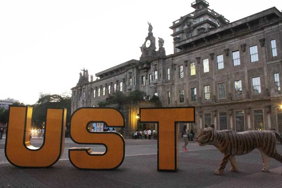 Viral UST student Kyle Viray accused of physically abusing ex-gf now expelled from university