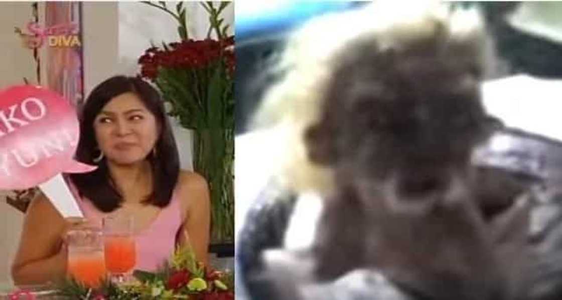 Alice-Dixson-taong-ahas Alice-Dixson-taong-ahas