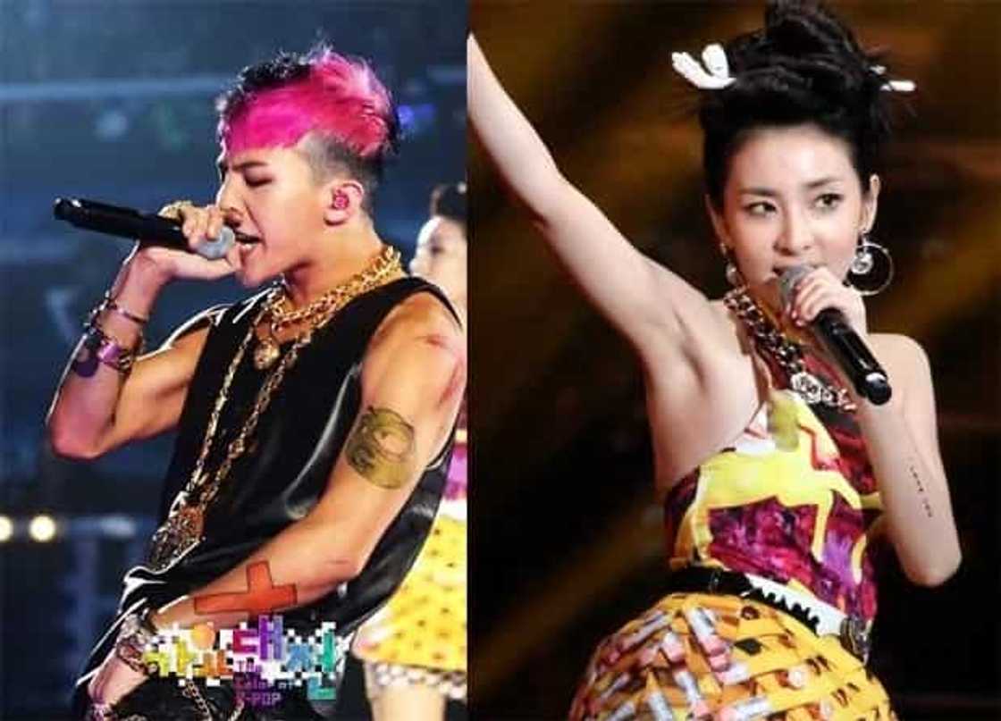 Sorry "Daragon" Fans. Sandara Park, Treats G-Dragon as a Brother Sorry "Daragon" Fans. Sandara Park, Treats G-Dragon as a Brother