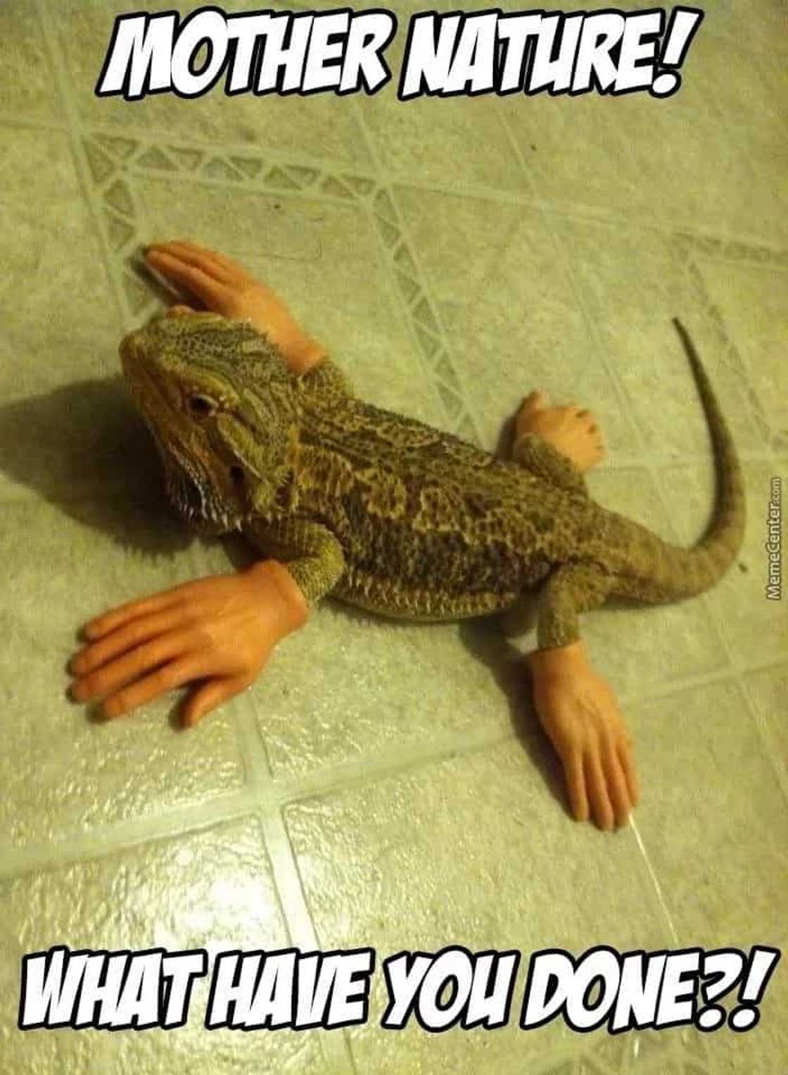 Netizen shares footage of video call gone wrong...the ending was unexpected! Netizen shares footage of video call gone wrong...the ending was unexpected!