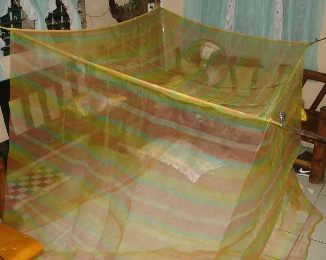 10 things you will find common in every Filipino home 10 things you will find common in every Filipino home