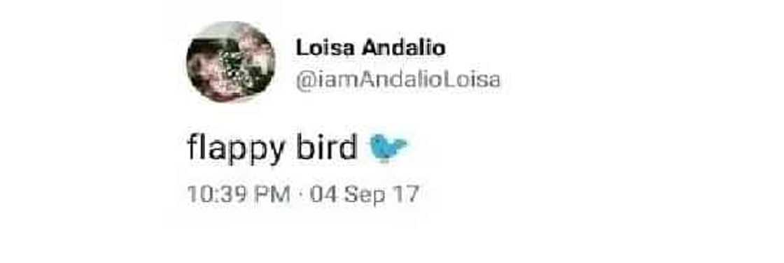 josh-lia josh-lia