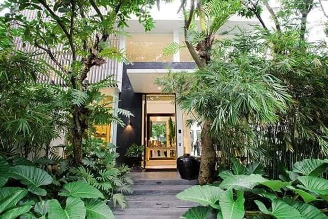 Zsa Zsa Padilla's modern Asian mansion is to die for Zsa Zsa Padilla's modern Asian mansion is to die for