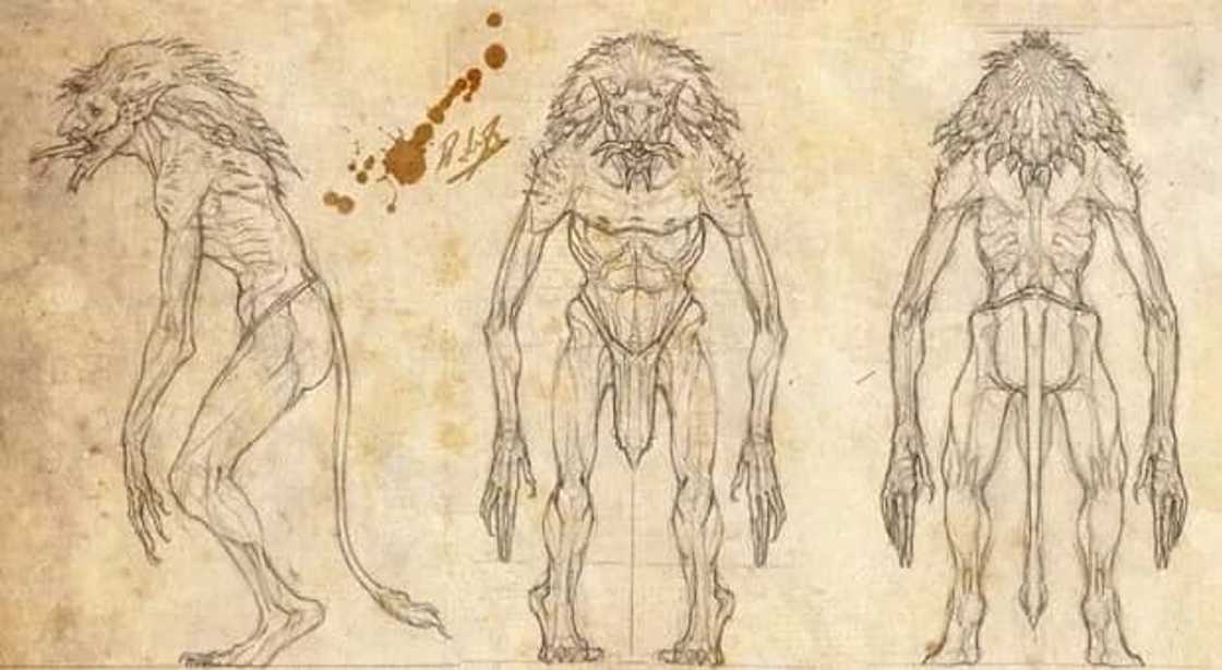 Five mysteries in the Philippines that are still unsolved Five mysteries in the Philippines that are still unsolved