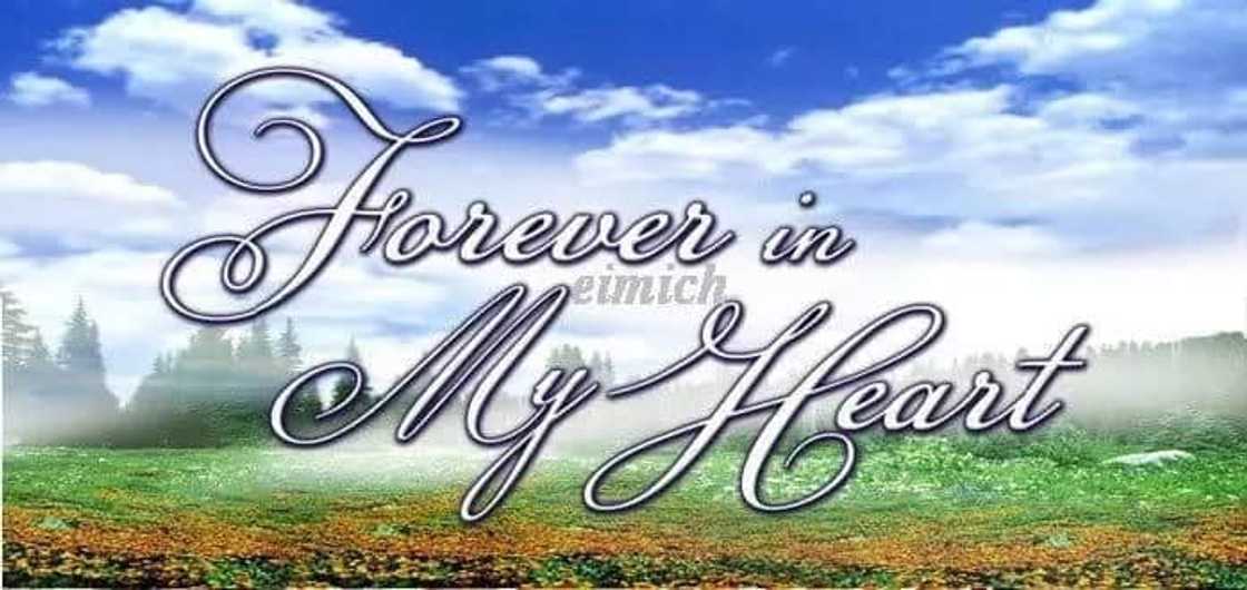 13 Kapuso shows sa karera ni Regine Velasquez sa GMA through the years 13 Kapuso shows sa karera ni Regine Velasquez sa GMA through the years