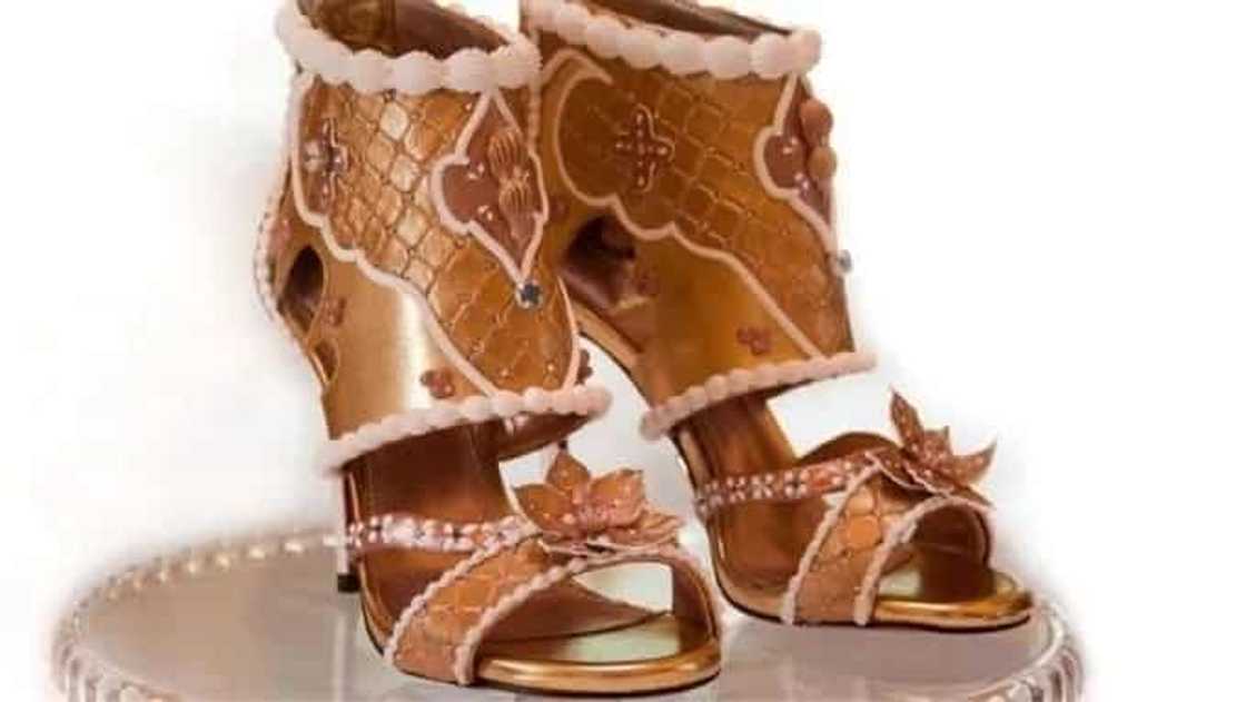 Nakakalula ang presyo! Ito ang pinakamahal na sapatos sa buong mundo na nagkakahalaga ng P766M! Nakakalula ang presyo! Ito ang pinakamahal na sapatos sa buong mundo na nagkakahalaga ng P766M!