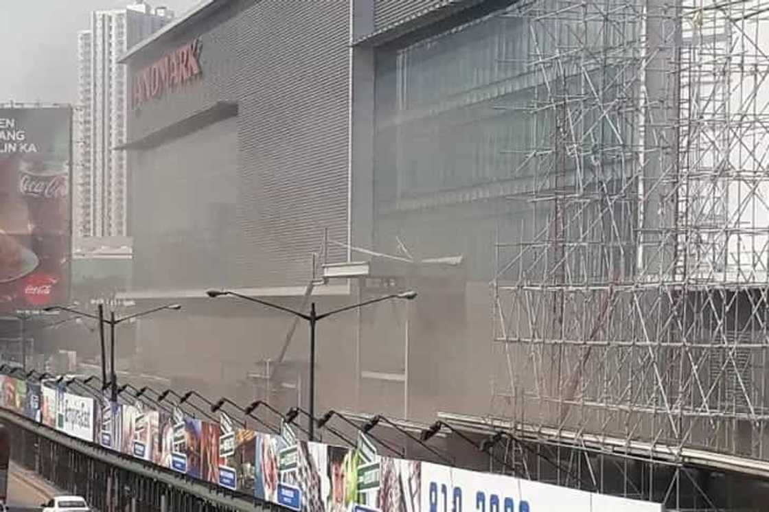 trinoma trinoma