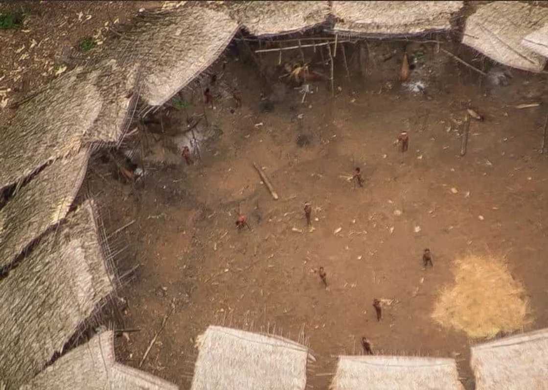 Untouched Amazon Tribe Sees Airplane For The First Time Untouched Amazon Tribe Sees Airplane For The First Time