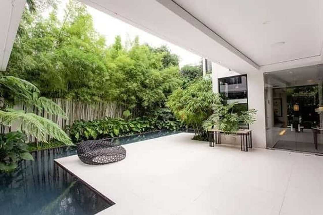 Zsa Zsa Padilla's modern Asian mansion is to die for Zsa Zsa Padilla's modern Asian mansion is to die for