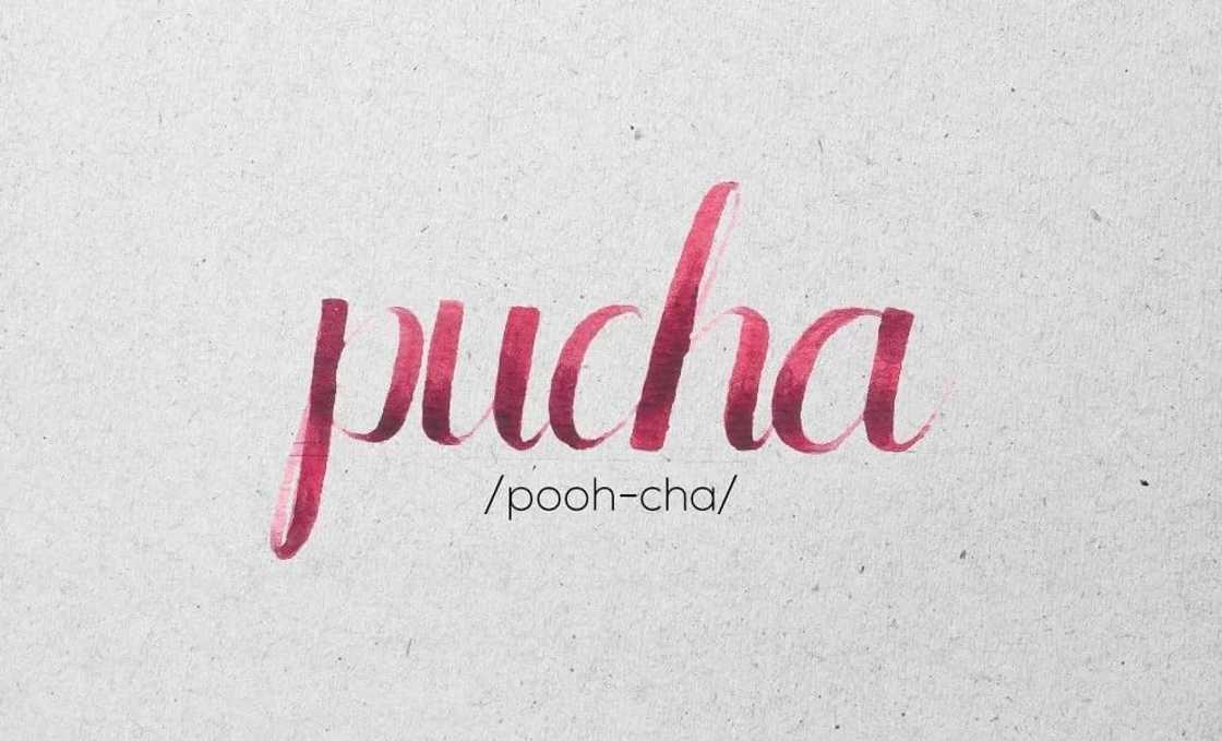 10 Filipino curse words used by Pinoys on a daily basis 10 Filipino curse words used by Pinoys on a daily basis