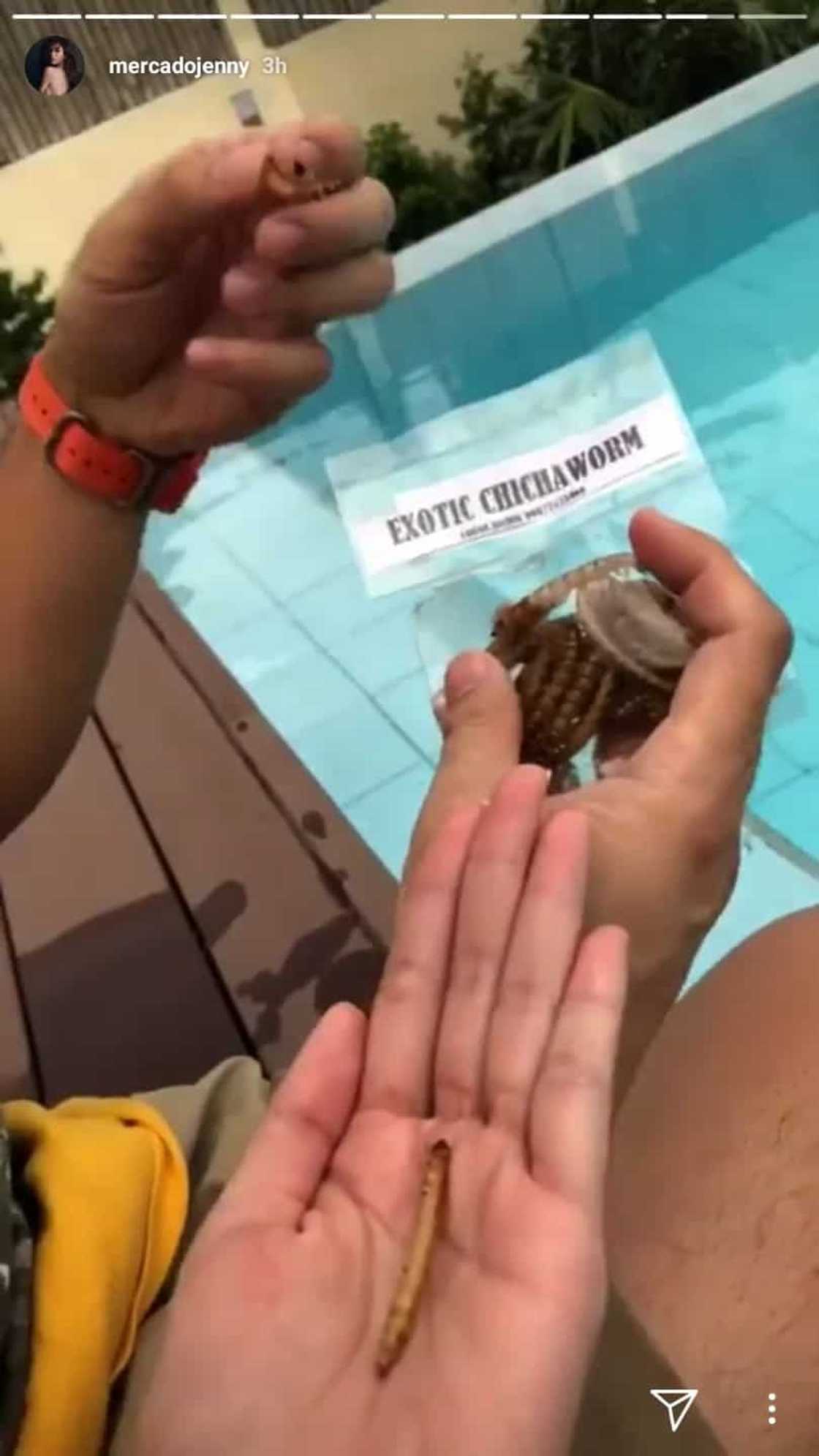 Iba din trip nilang dalawa! Dennis Trillo and Jennylyn Mercado try exotic chichaworm Iba din trip nilang dalawa! Dennis Trillo and Jennylyn Mercado try exotic chichaworm