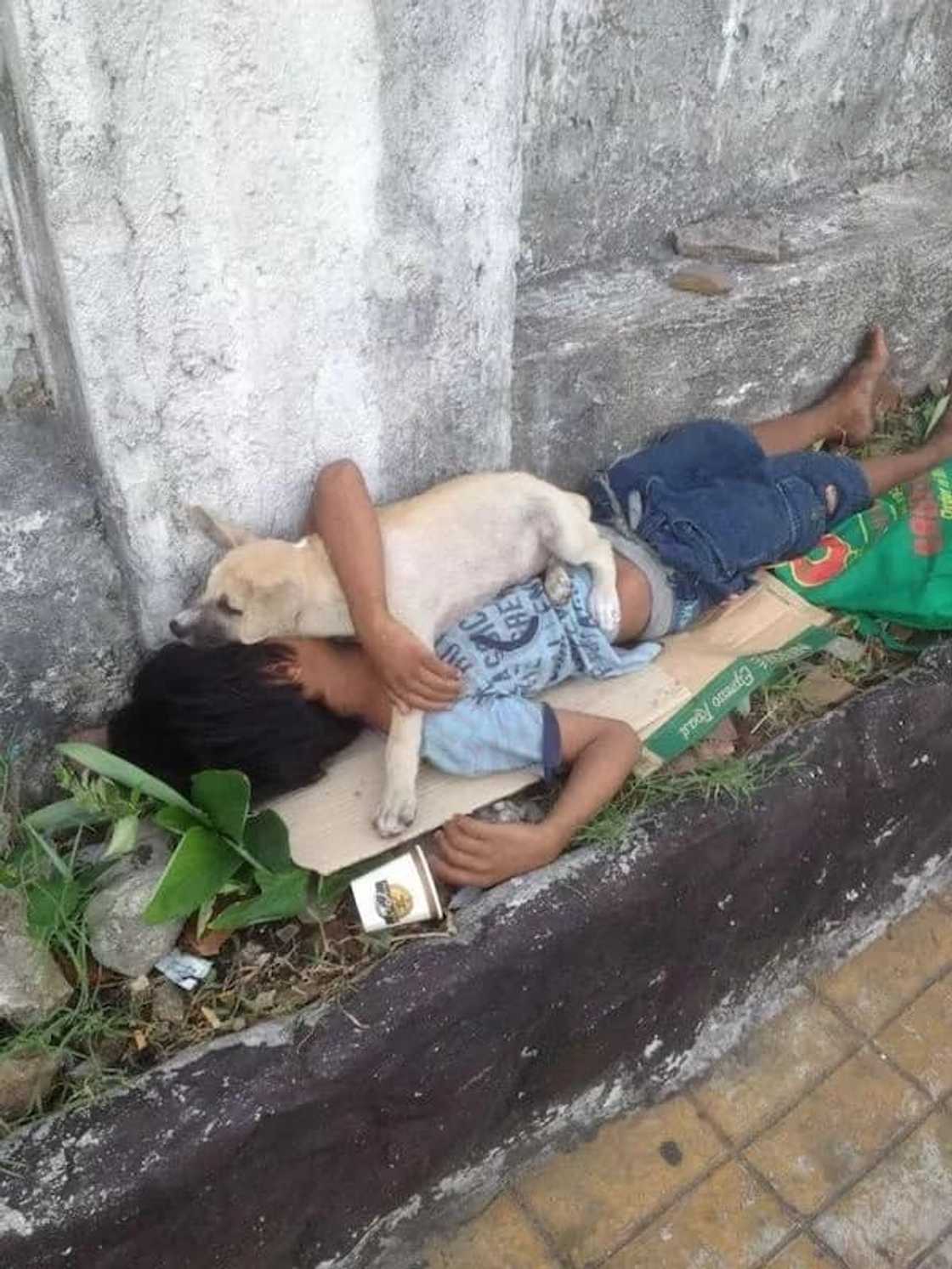Portrait of pure love: the loyal dog and its poor master Portrait of pure love: the loyal dog and its poor master