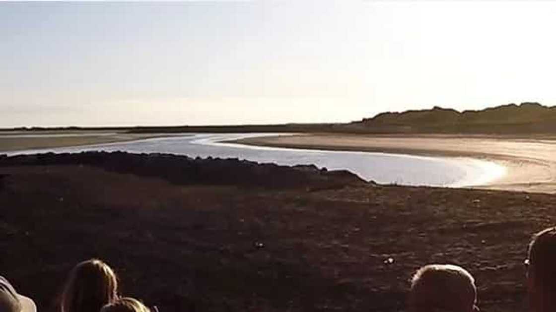 Source: Youtube / Adam Why Source: Youtube / Adam Why