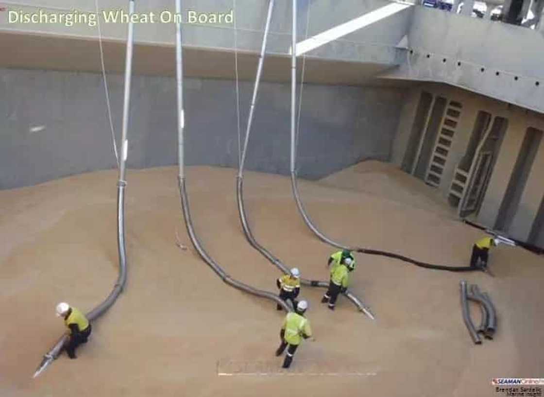 pinoy-seaman pinoy-seaman