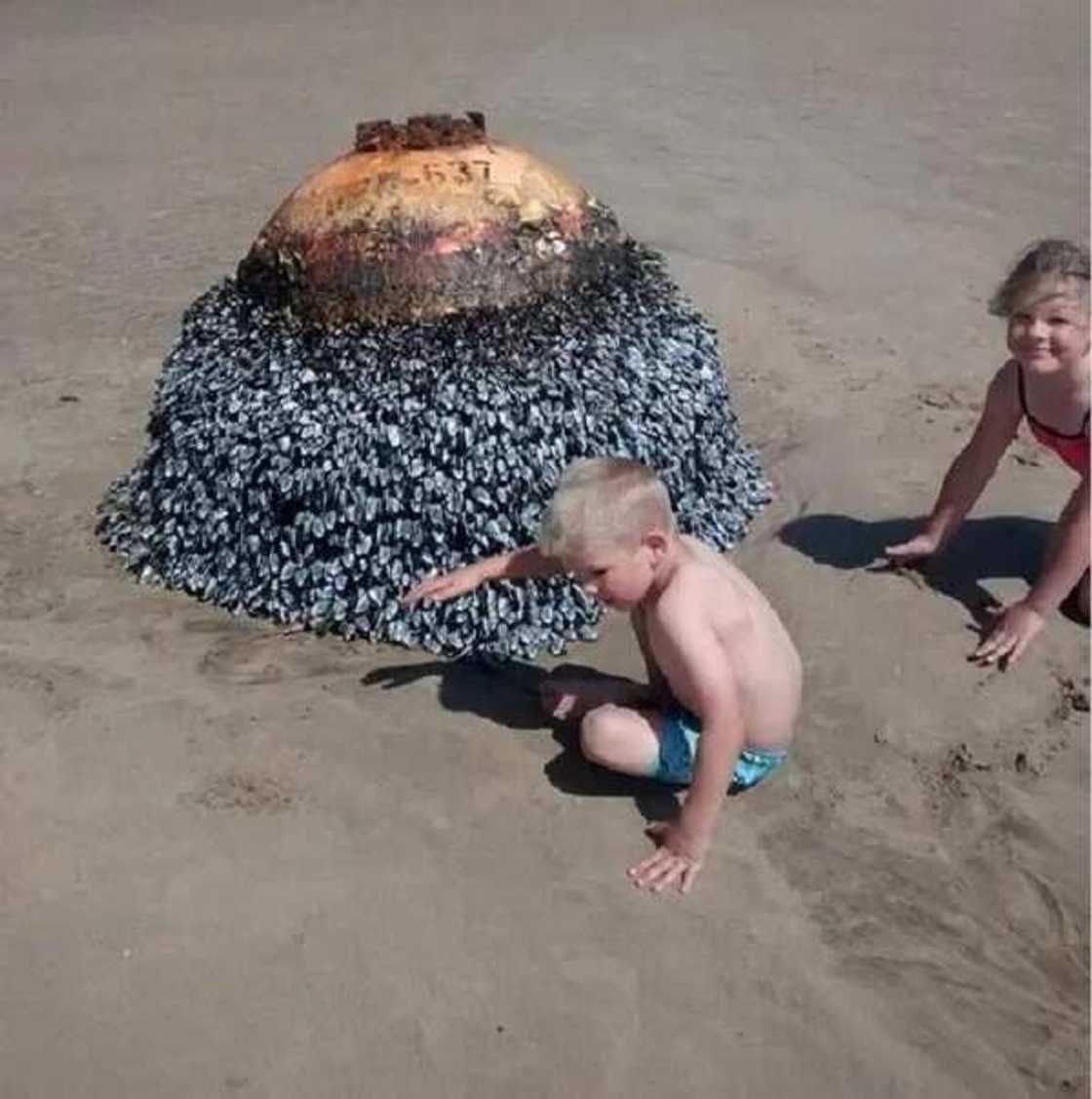 Source: Liftable Source: Liftable