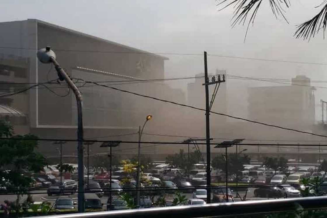 trinoma trinoma