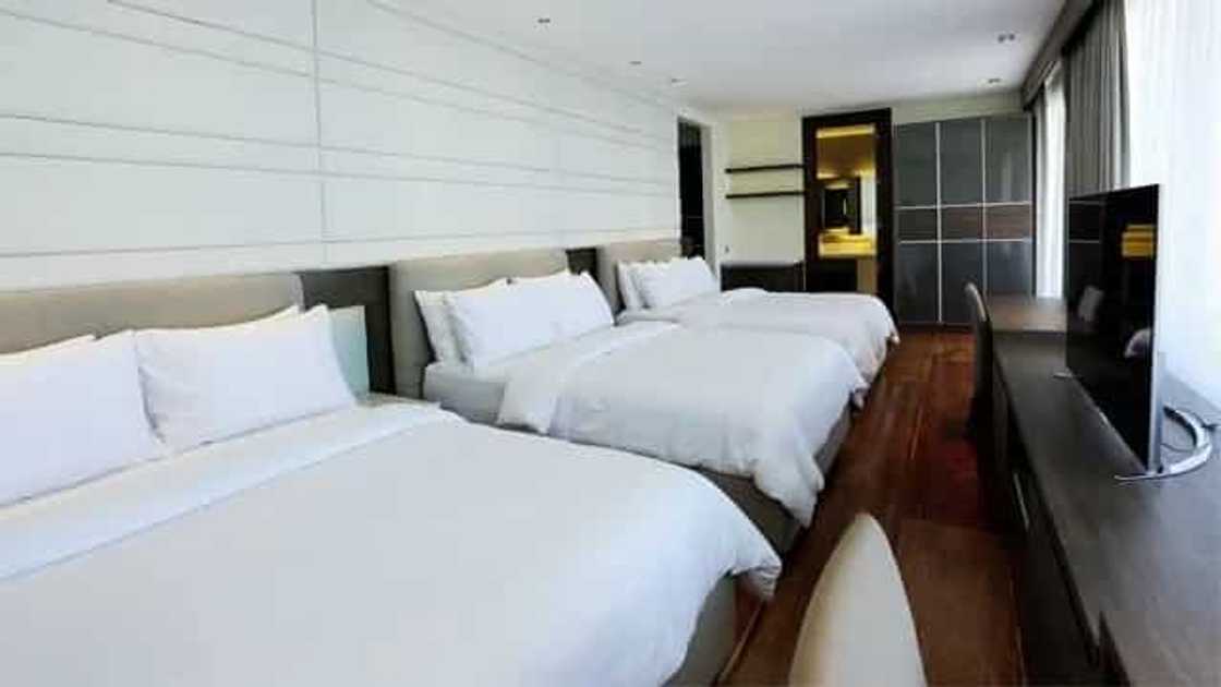 Bahay o resort? Willie Revillame's hilltop Tagaytay mansion stuns netizens with its breathtaking beauty Bahay o resort? Willie Revillame's hilltop Tagaytay mansion stuns netizens with its breathtaking beauty