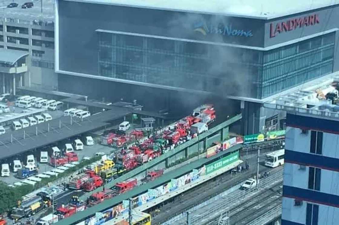 trinoma trinoma