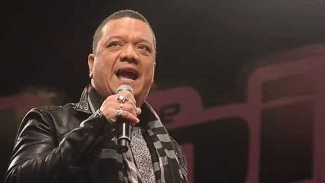 mitoy mitoy