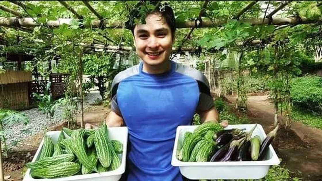 6 Celebrities who get their fruits and vegetables from their own farm and garden 6 Celebrities who get their fruits and vegetables from their own farm and garden