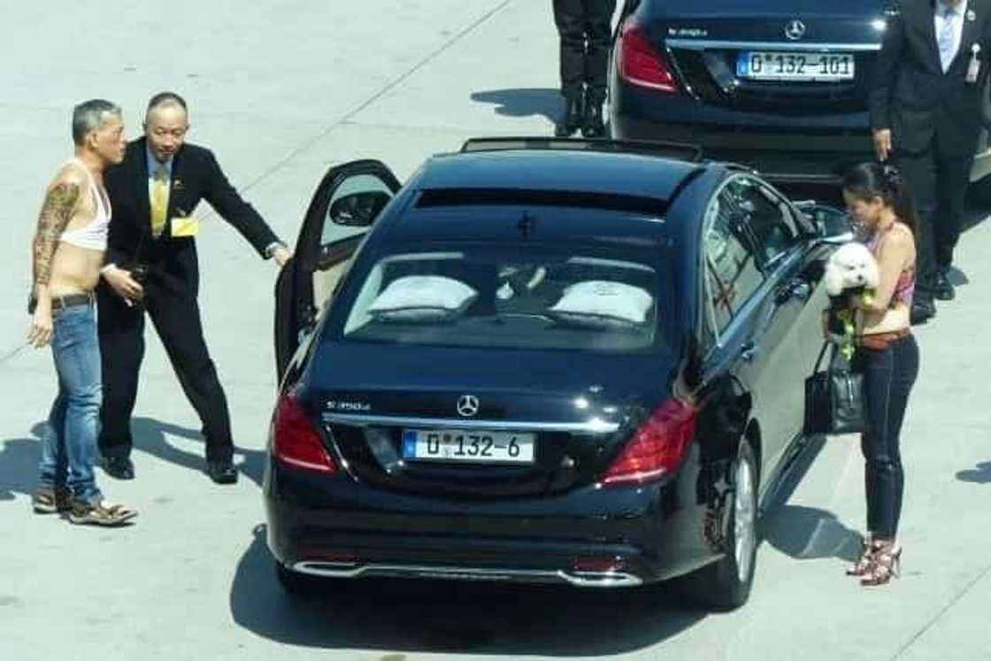 Thailand Welcomes Weird New King Who Likes Crop Tops And Tiny Dogs Thailand Welcomes Weird New King Who Likes Crop Tops And Tiny Dogs