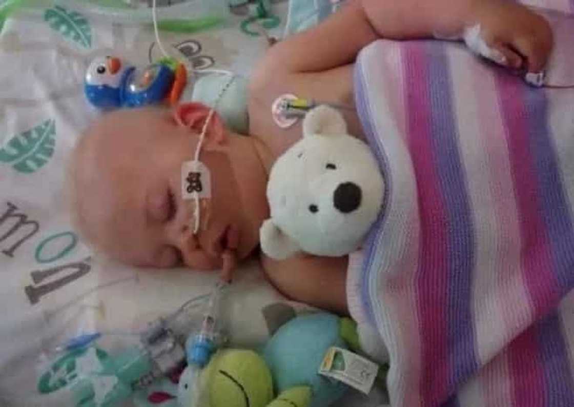 Little Bella and her teddy Little Bella and her teddy