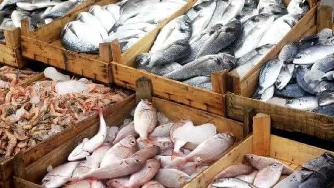 viral-story viral-story