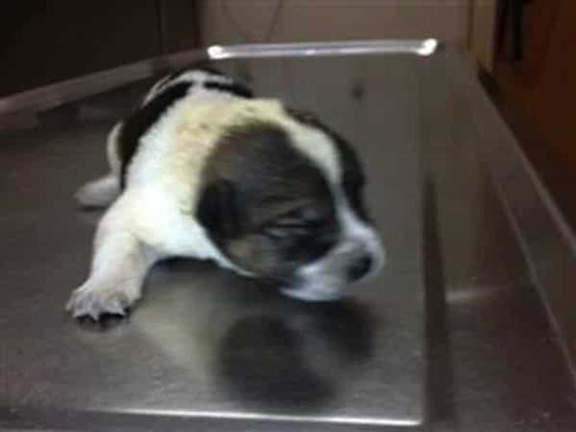 Source: Slip Talk Source: Slip Talk