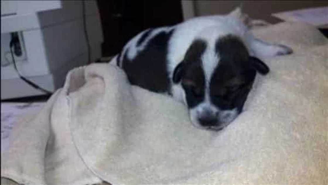 Source: Slip Talk Source: Slip Talk