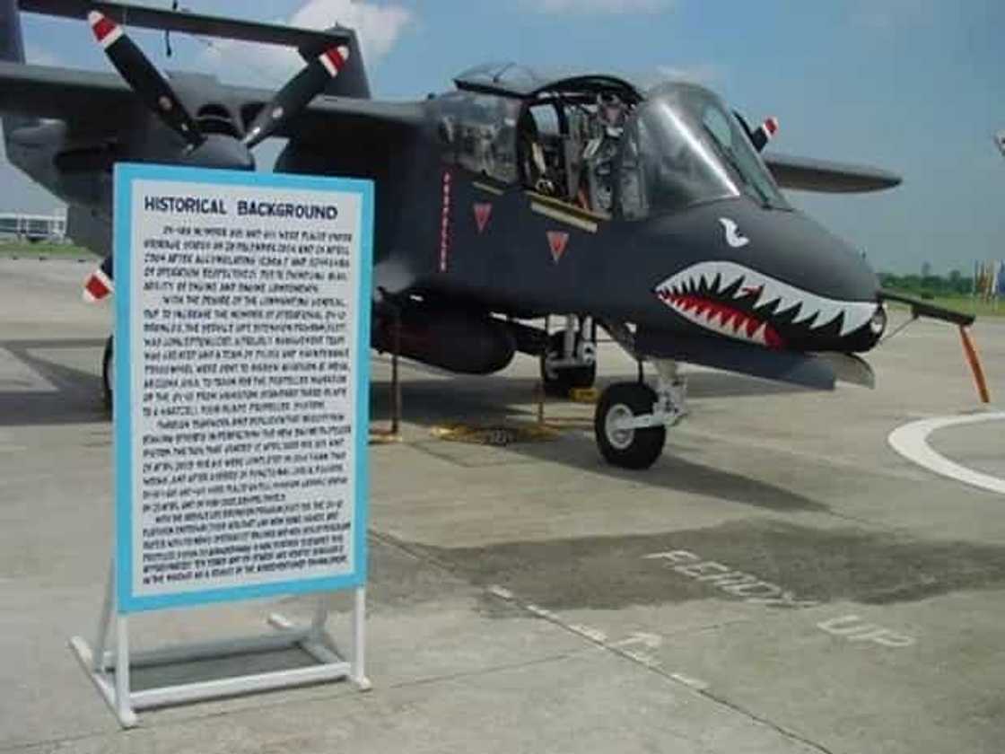 Filipina pilot steers plane away from populated area and died in the process Filipina pilot steers plane away from populated area and died in the process