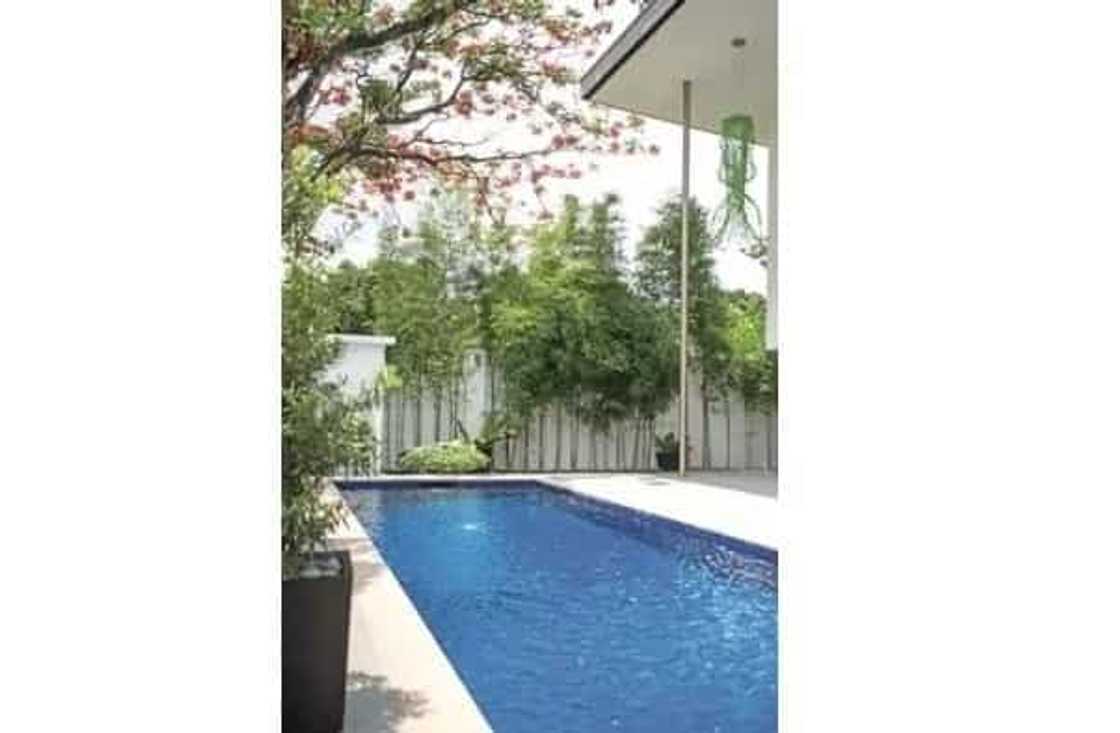 swimming-pool swimming-pool