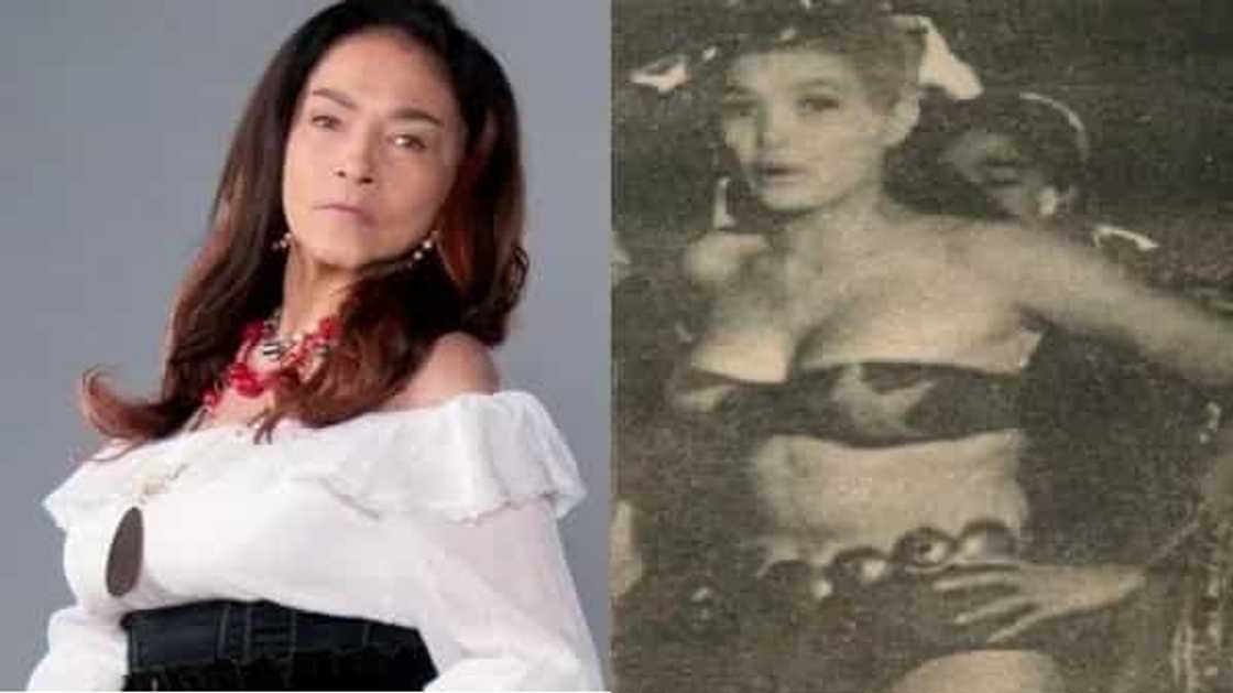 celebrity-Darna celebrity-Darna