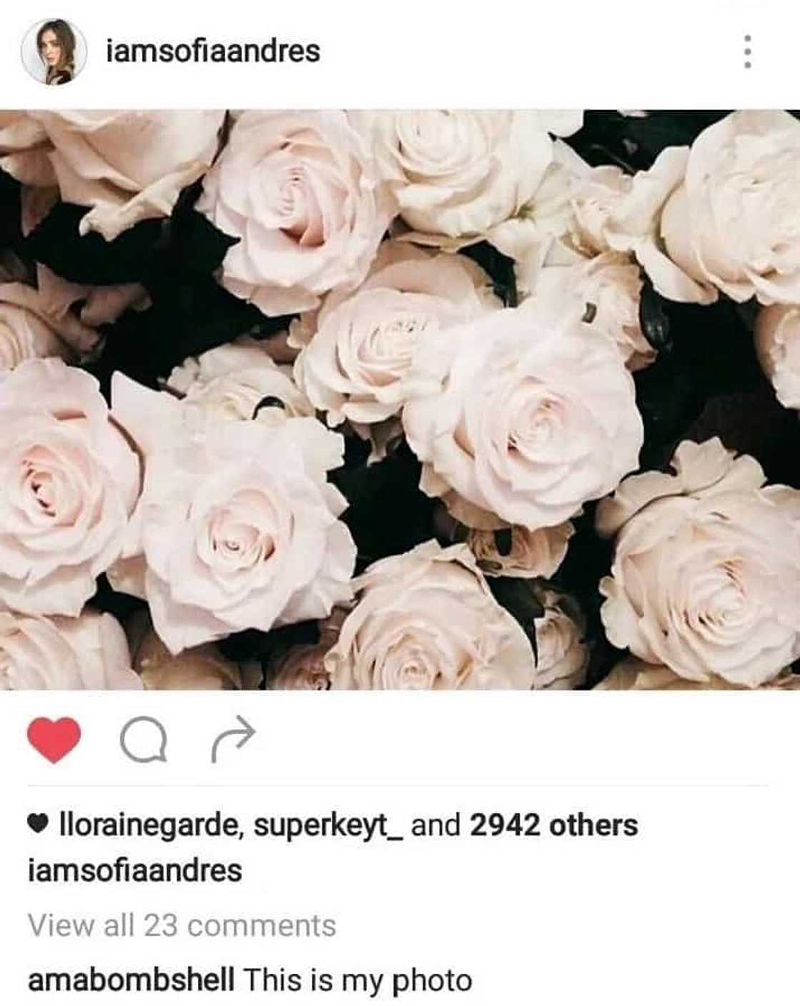 sofiaandres-1 sofiaandres-1