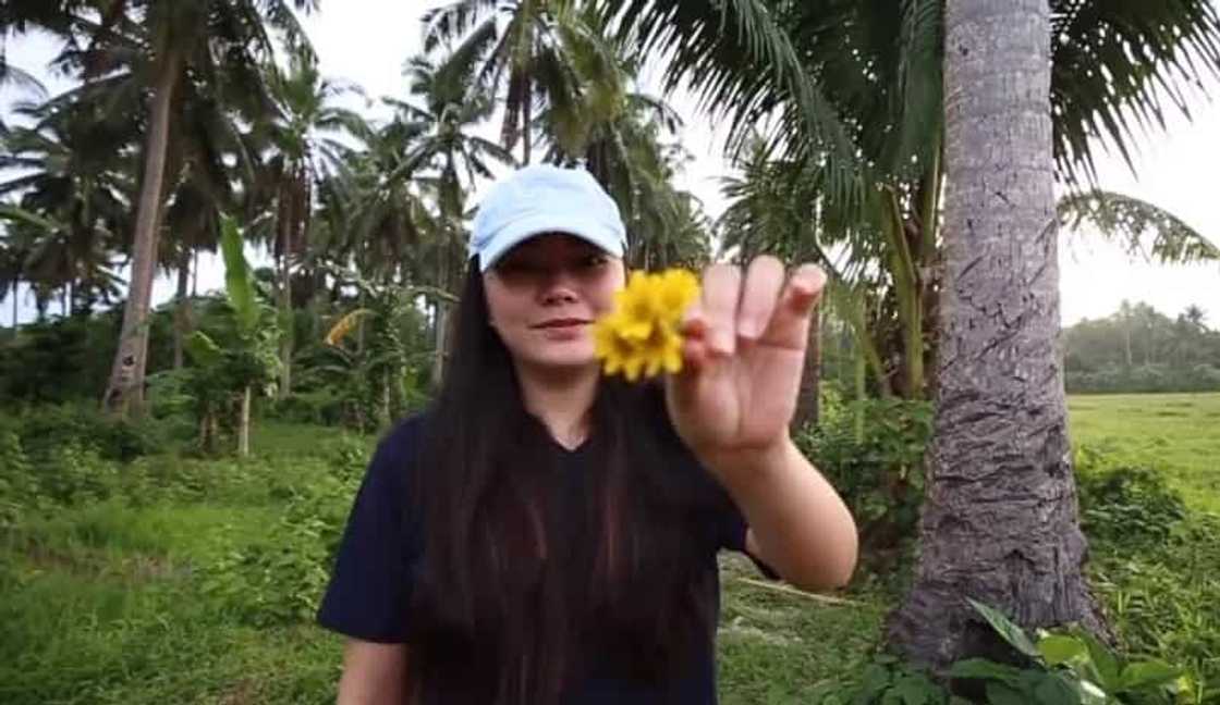 Yeng Constantino shares her simple yet superb provincial life in a vlog Yeng Constantino shares her simple yet superb provincial life in a vlog