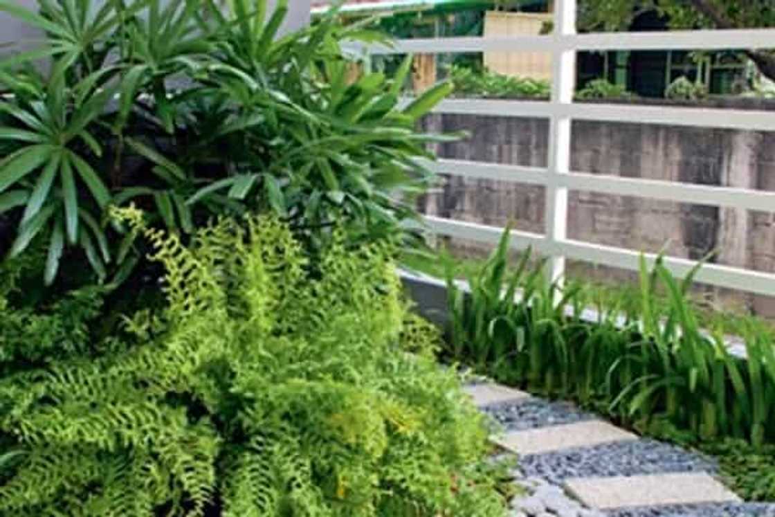 Photo credits: Pep.ph Photo credits: Pep.ph