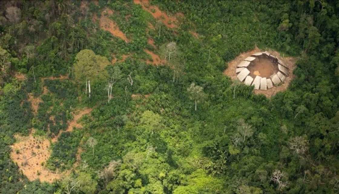 Untouched Amazon Tribe Sees Airplane For The First Time Untouched Amazon Tribe Sees Airplane For The First Time