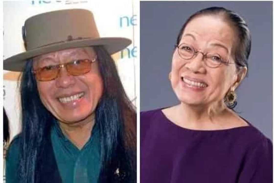 Celebrities' Doppelgangers, clones, dead ringers, or in local parlance, pinag-biyak na bunga Celebrities' Doppelgangers, clones, dead ringers, or in local parlance, pinag-biyak na bunga