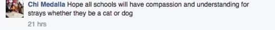 Stray dog has own ID, allowed to enter QC school Stray dog has own ID, allowed to enter QC school