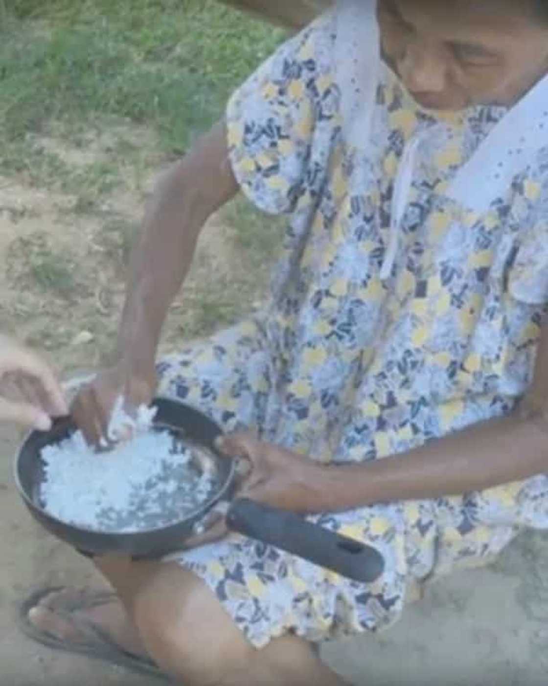 modesta modesta