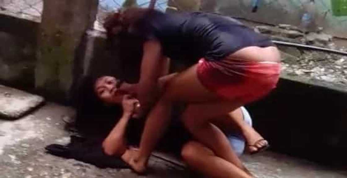 girl-fight girl-fight