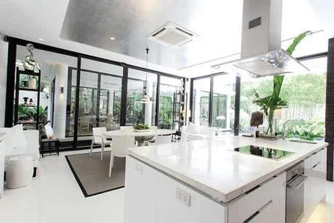 Zsa Zsa Padilla's modern Asian mansion is to die for Zsa Zsa Padilla's modern Asian mansion is to die for