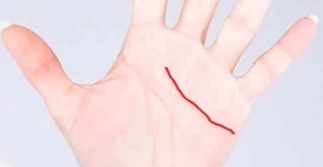 linea en la mano linea en la mano